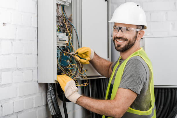 Best Electric Panel Repair  in Nora Springs, IA